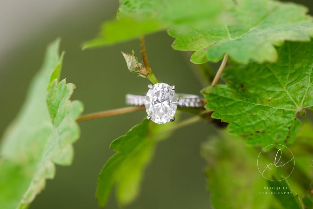 detail shot of engagement ring during vineyard session