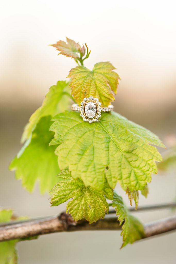 detail shot of engagement ring on leaf at stinson vineyards