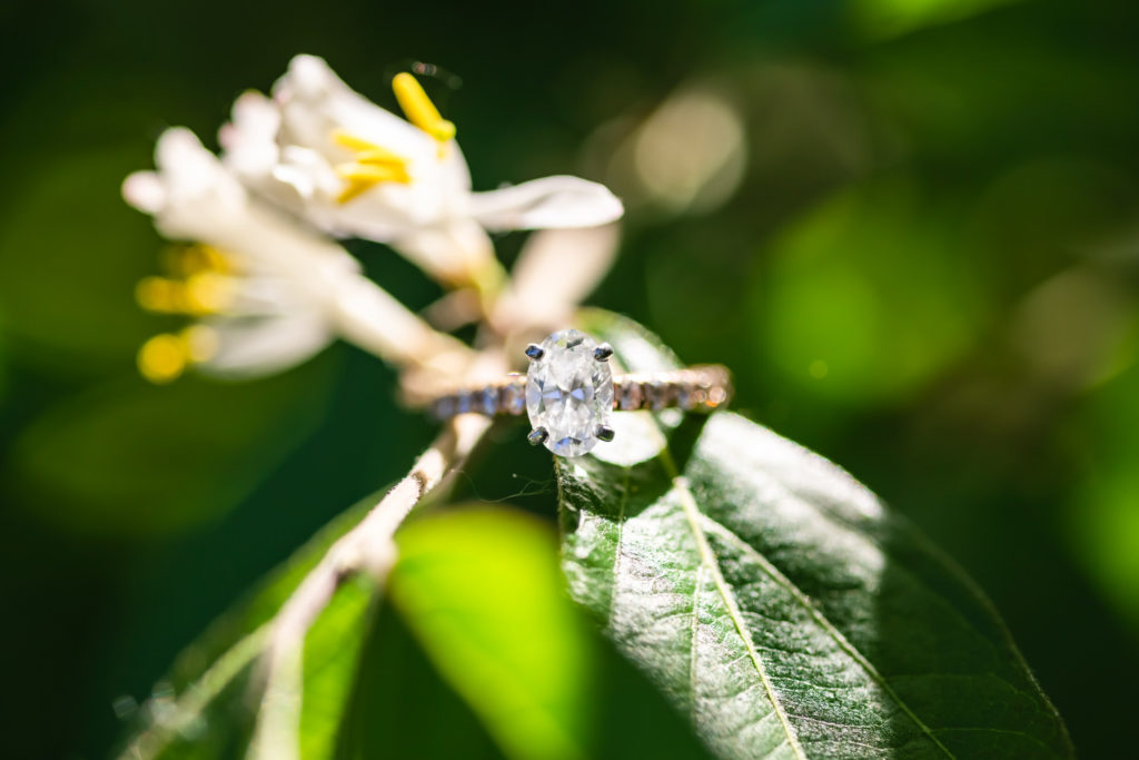 detail shot of engagement ring sitting on flower during Lincoln Memorial engagement session