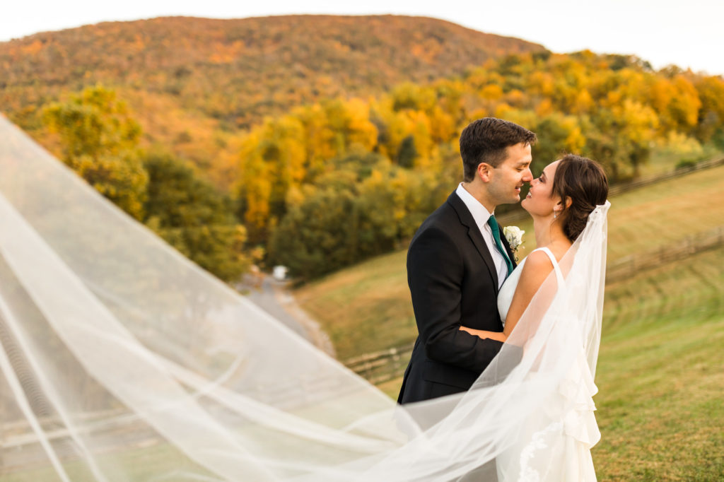 bridal portraits with bride's veil flying in wind while couple kissees