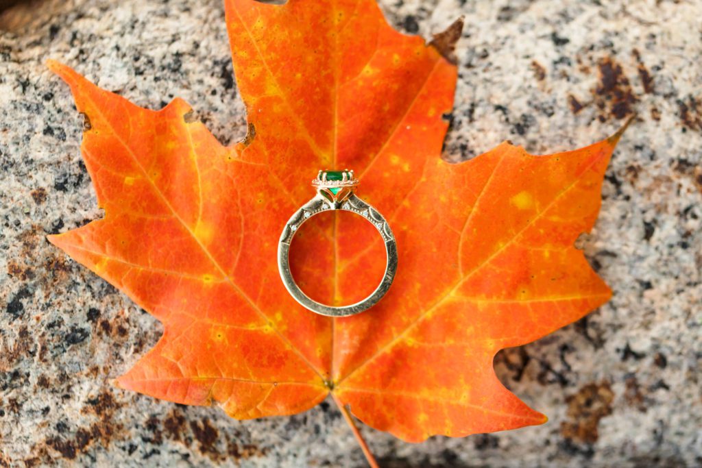 emerald engagement ring sitting on leaf for detail shot