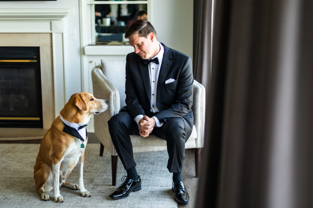 groom sitting with dog on wedding day