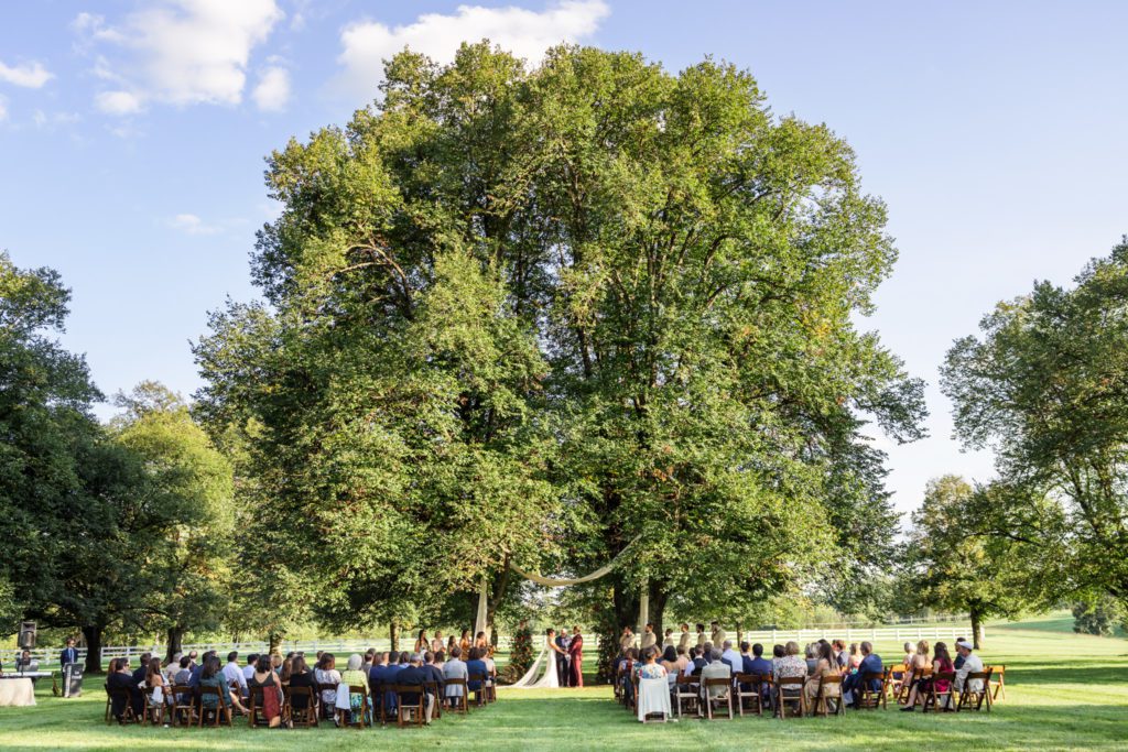 Castle Hill wedding tree outdoor ceremony location
