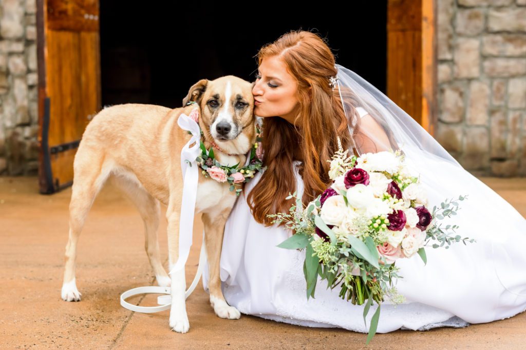 bride kissing pet dog during wedding party portraits