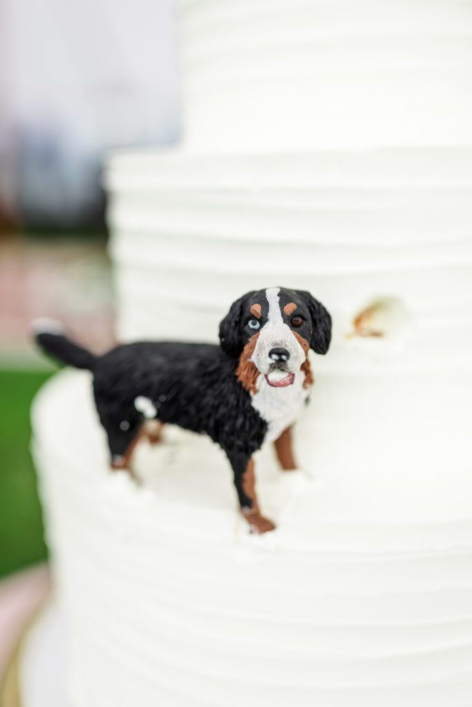 white wedding cake with dog topper eating the cake