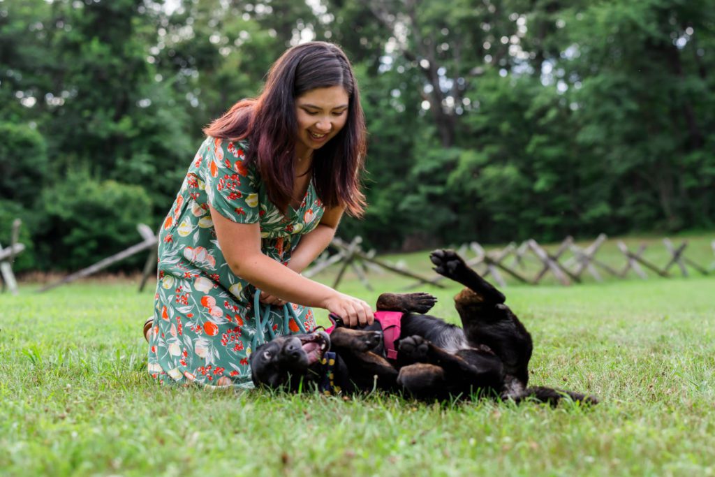 woman rubbing dog's tummy on grass