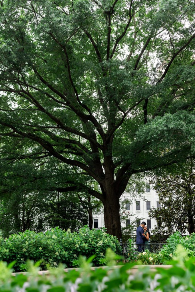 engaged couple embracing under tree at virginia state capitol building
